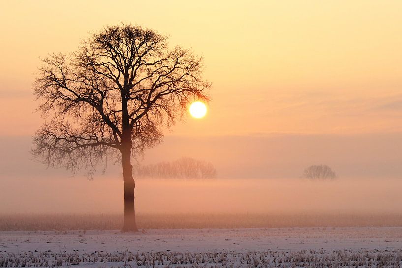 Eindejaars mijmering